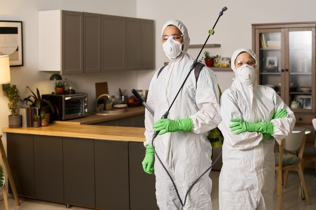 How to Find Best Affordable Pest Control and Cleaning Services in Dubai