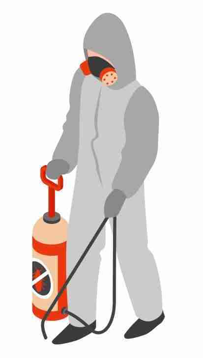 Pest control services in sharjah