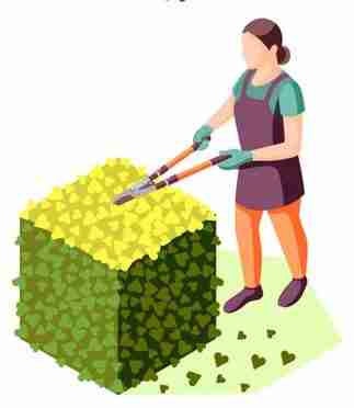 Land Scaping Services in Dubai