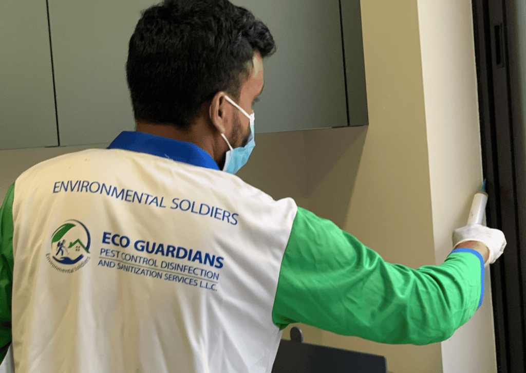 Ant Pest Control Dubai