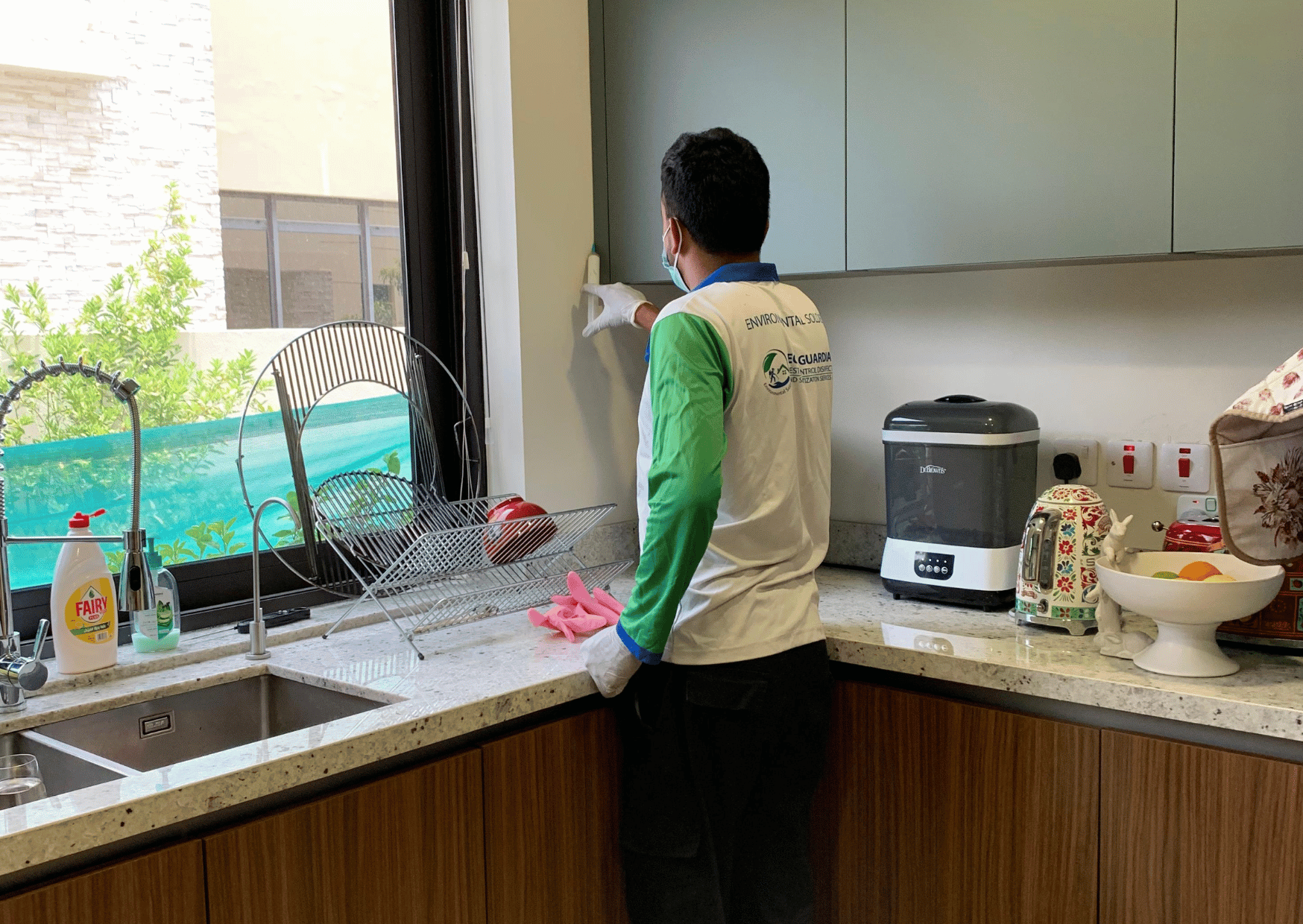 Ant Pest Control Dubai