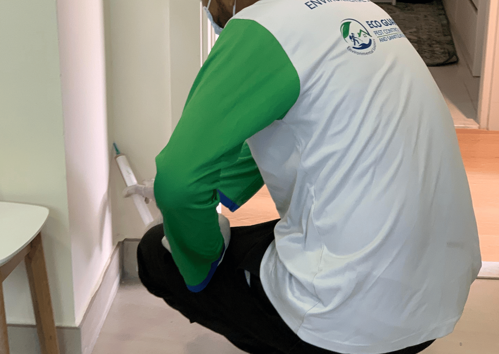 Ant Pest Control Dubai