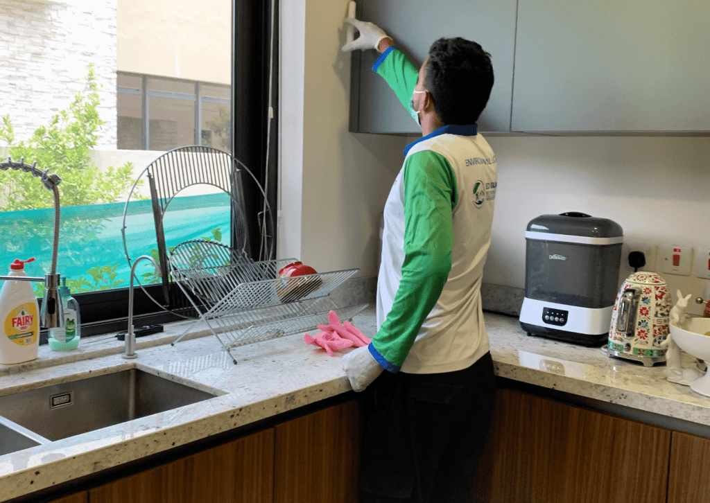 Ant Pest Control Dubai