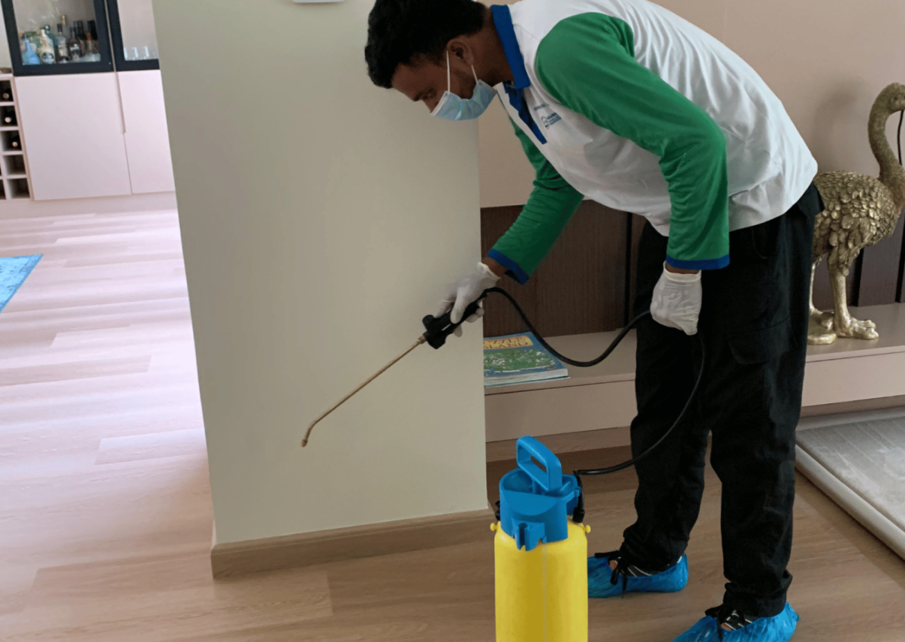 Pest Control Sharjah