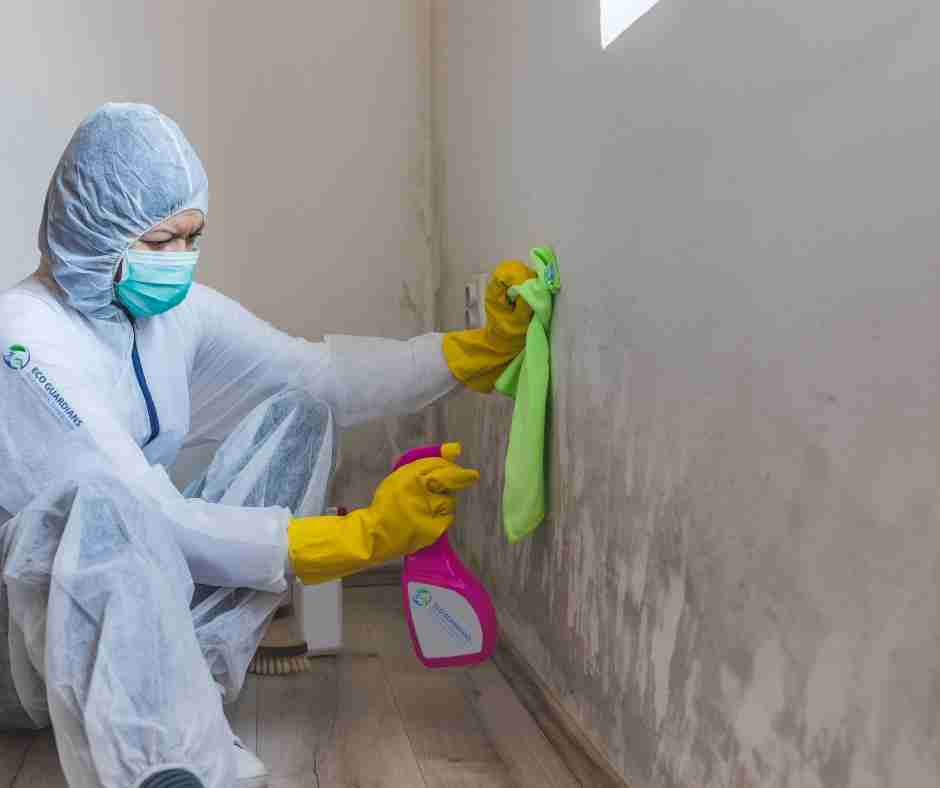 Mould Control Dubai