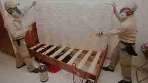 Read more about the article How to Avoid Bed Bug Infestations in Your Home