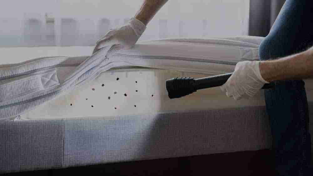 Bed Bugs Treatment Dubai