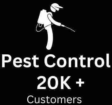 Pest Control Dubai