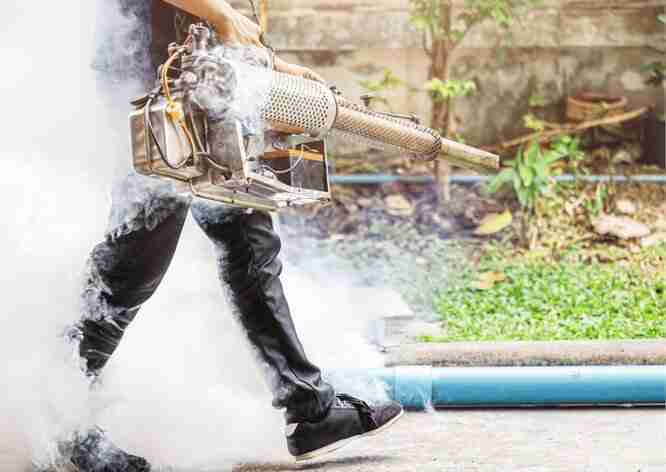 Mosquito Control Dubai