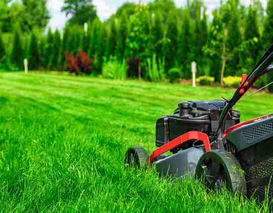 Landscaping Services in Dubai