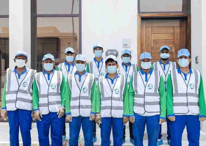 Pest Control Services in UAE