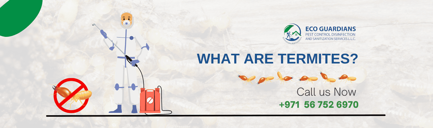 Termite Control treatment