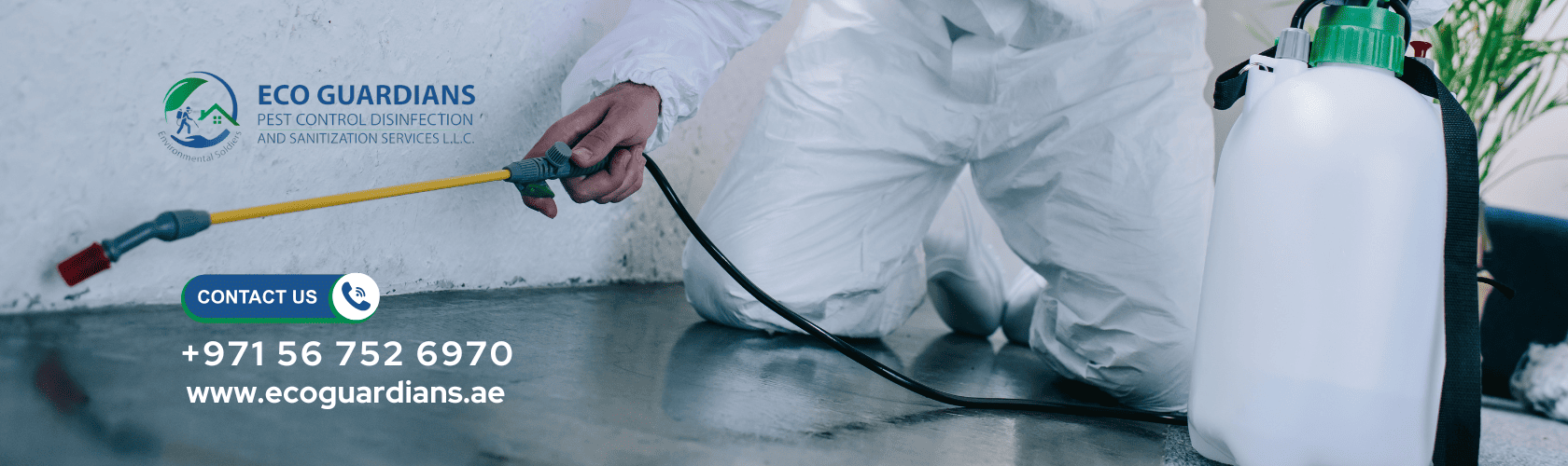 Pest Control Treatment