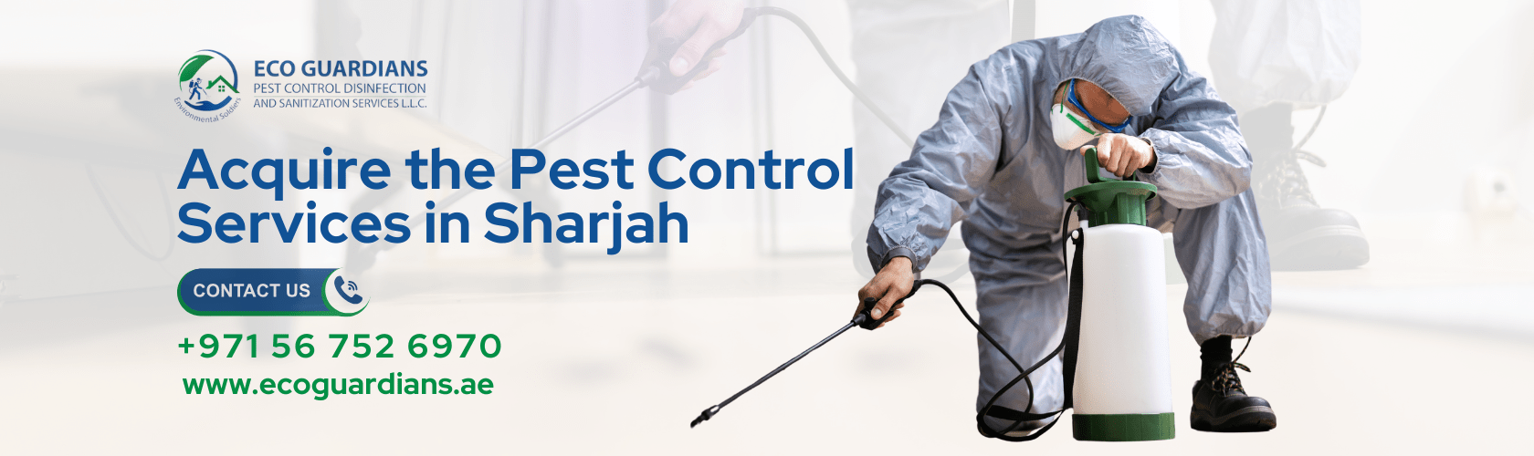 Pest Control Treatment