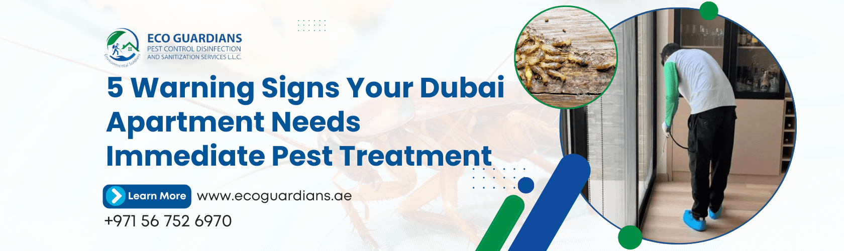 Pest Control Treatment Dubai