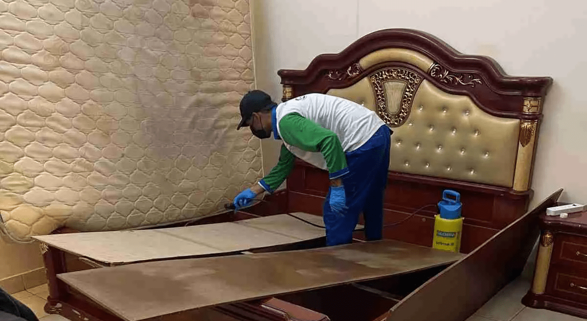 Bed Bugs Pest Removal Services