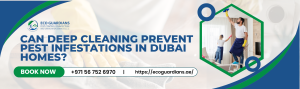 Read more about the article Can Deep Cleaning Prevent Pest Infestations in Dubai Homes?
