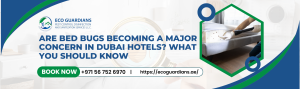 Read more about the article Are Bed Bugs Becoming a Major Concern in Dubai Hotels? What You Should Know