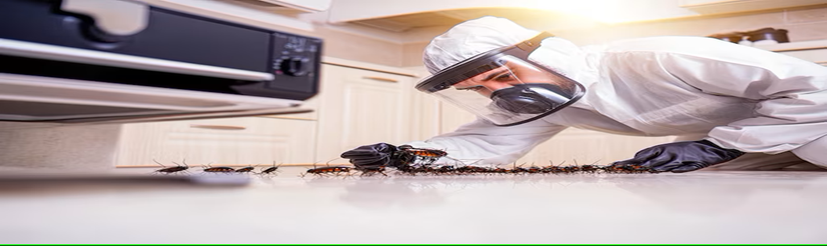 Pest Control Near Me