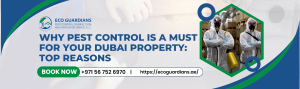 Read more about the article Why Pest Control is a Must for Your Dubai Property: Top Reasons