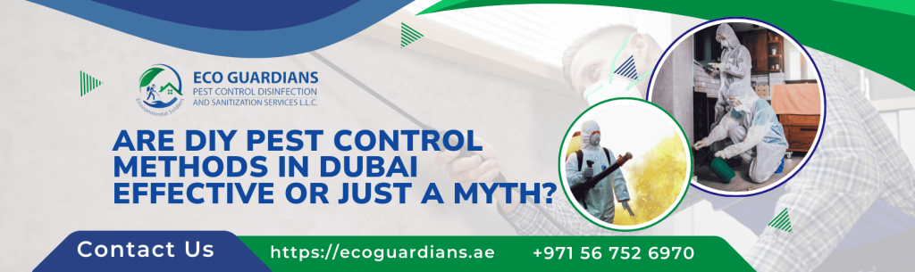 Pest Control Dubai