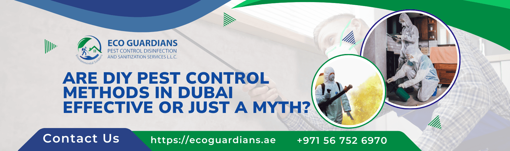 Pest Control Dubai