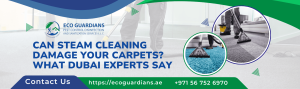 Read more about the article Can Steam Cleaning Damage Your Carpets? What Dubai Experts Say