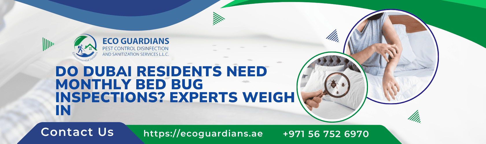 Bed Bug Pest Control Dubai