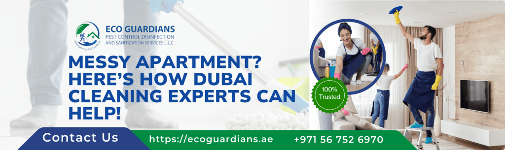 Apartment Cleaning Near You