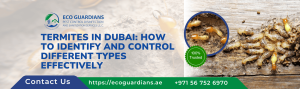 Read more about the article Termites in Dubai: How to Identify and Control Different Types Effectively