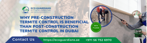 Read more about the article Why Pre-Construction Termite Control is Beneficial Than Post-Construction Termite Control in Dubai