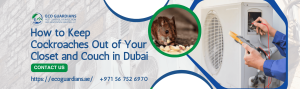 Read more about the article How to Keep Cockroach Out of Your Closet and Couch in Dubai