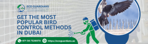 Read more about the article Get the Most Popular Bird Control Methods in Dubai
