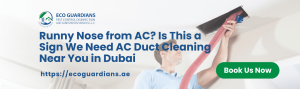 Read more about the article Runny Nose from AC? Is This a Sign We Need AC Duct Cleaning Near You in Dubai