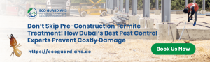 Read more about the article Don’t Skip Pre-Construction Termite Treatment! How Dubai’s Best Pest Control Experts Prevent Costly Damage