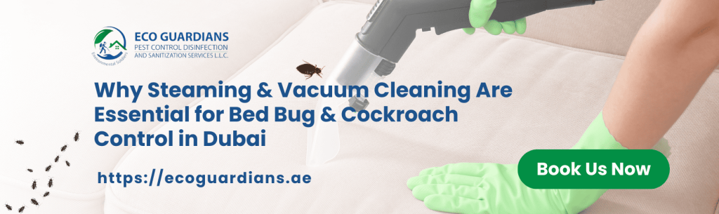 Bed Bug Control in Dubai