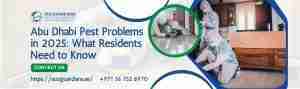 Read more about the article Abu Dhabi Pest Problems in 2025: What Residents Need to Know