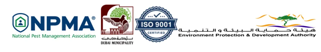 Eco Guardians's Certifications Certificates
