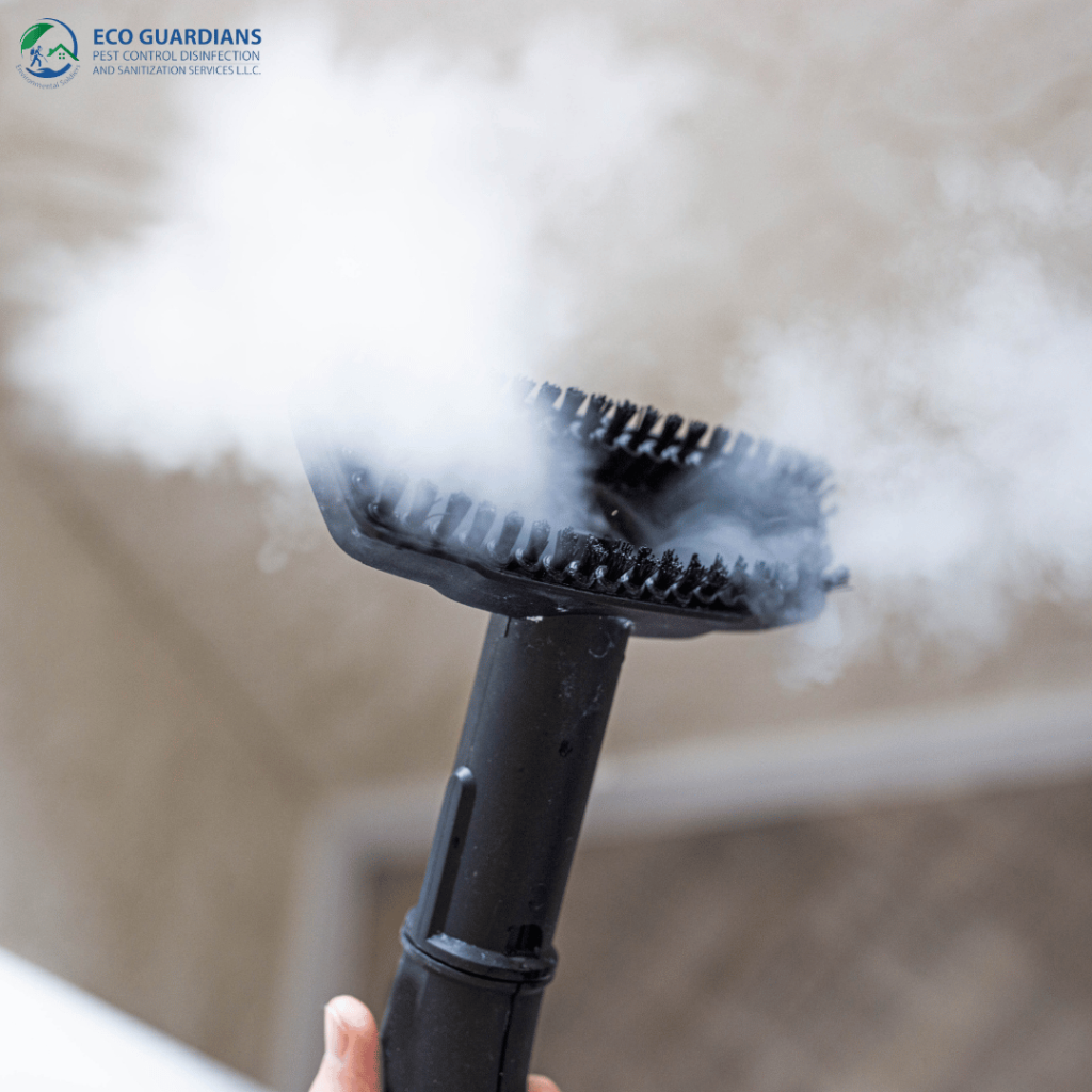 Steam Deep Cleaning in Dubai