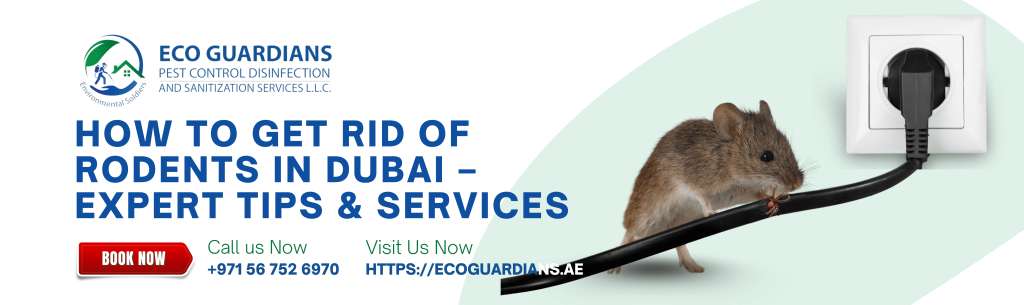 Rodent Control Near You Dubai