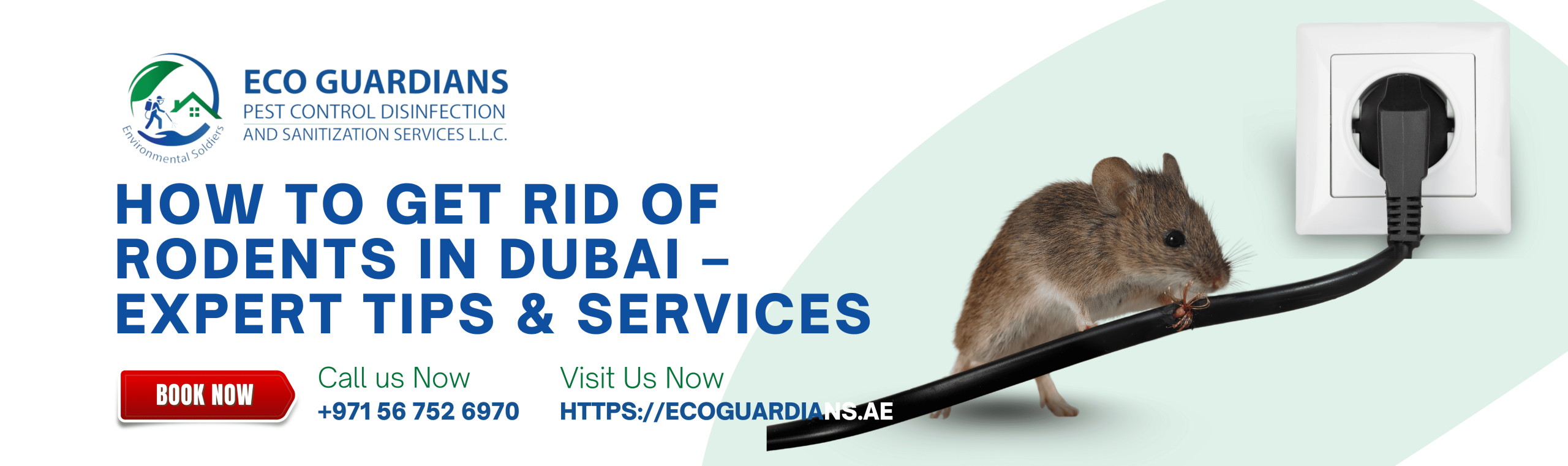 Rodent Control Near You Dubai