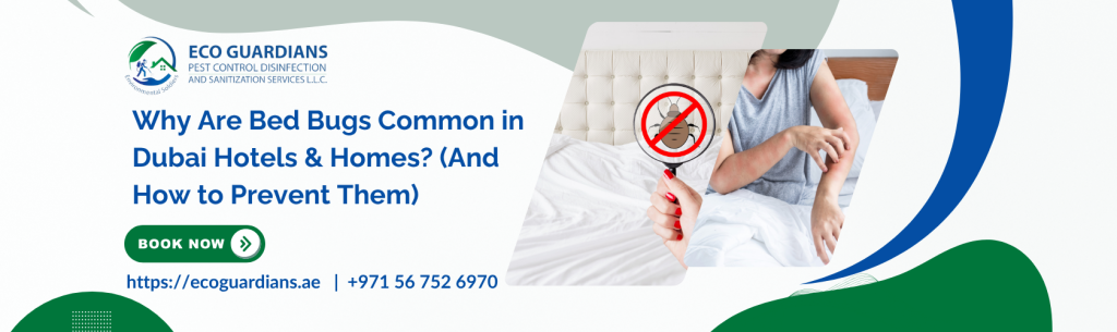 Bed Bug Pest Control Dubai by Eco Guardians