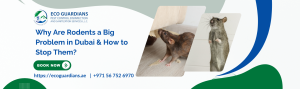 Read more about the article Why Are Rodents a Big Problem in Dubai & How to Stop Them?