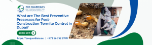 Read more about the article What are The Best Preventive Processes for Post-Construction Termite Control in Dubai?
