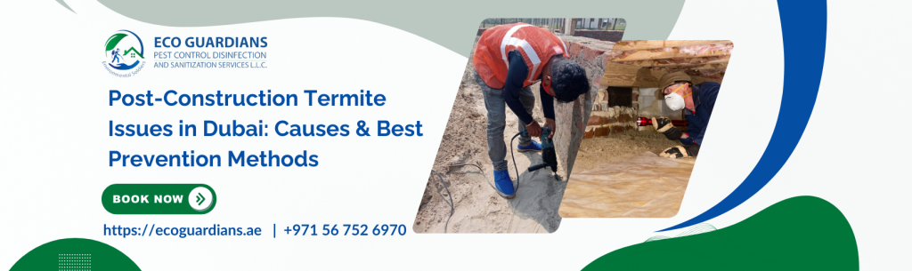 Termite Control Dubai