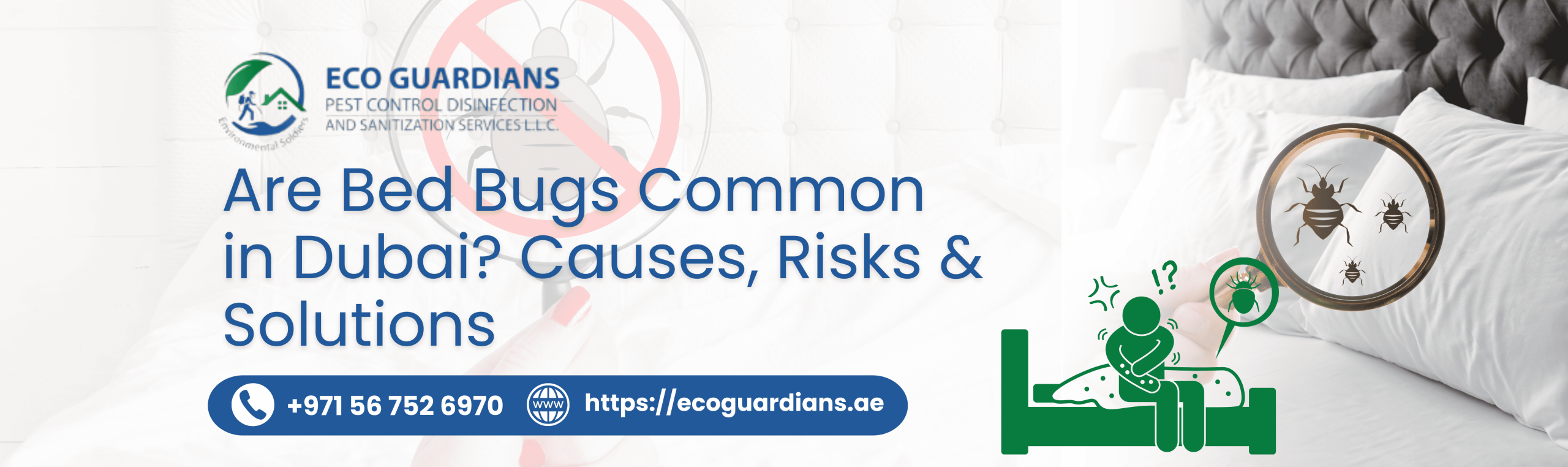 Bed Bug Pest Control Near You in Dubai