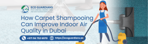 Read more about the article How Carpet Shampooing Can Improve Indoor Air Quality in Dubai