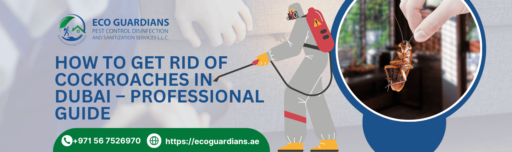 Cockroach Pest Control Dubai