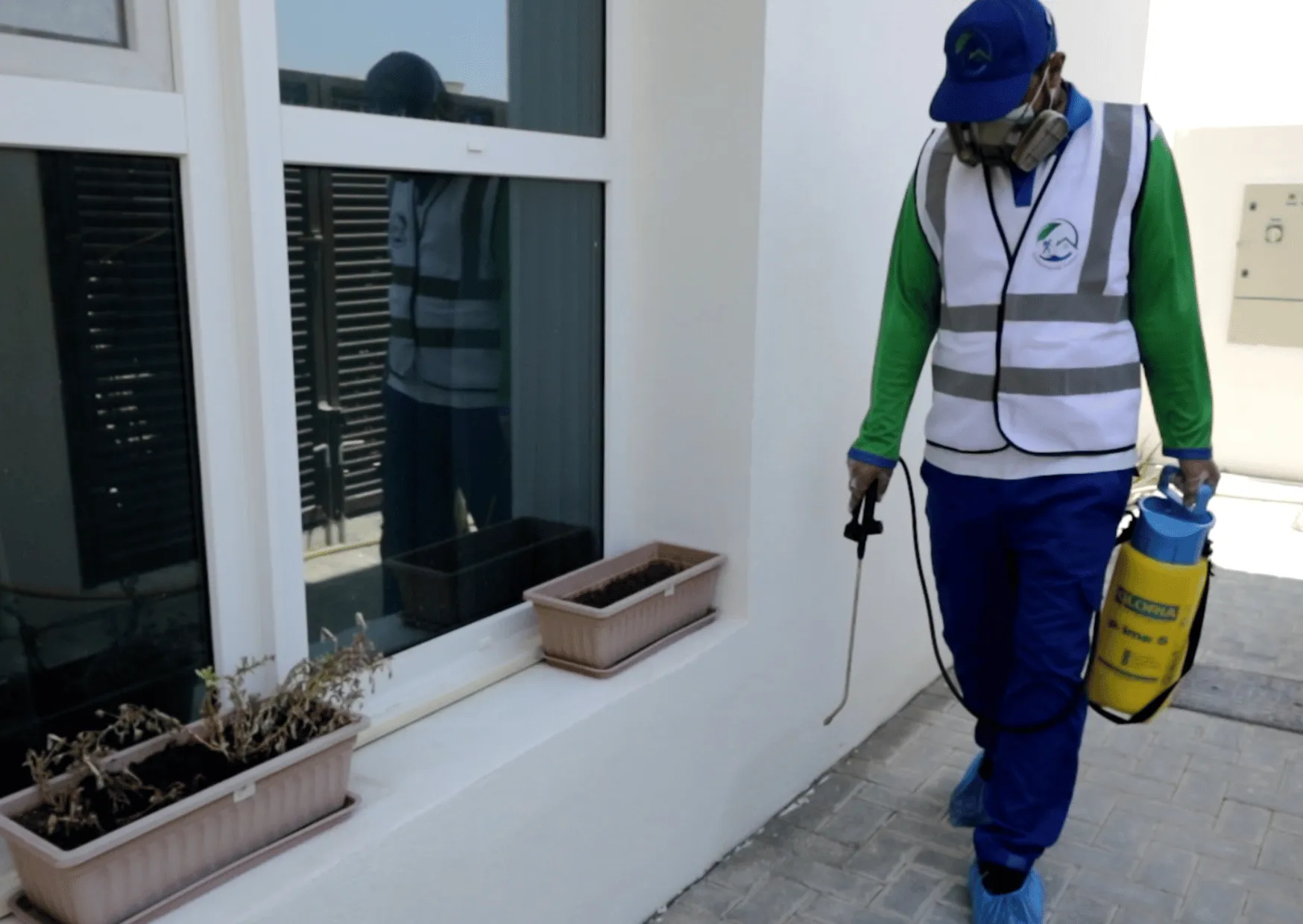 Best Pest Control Service Providers in Dubai