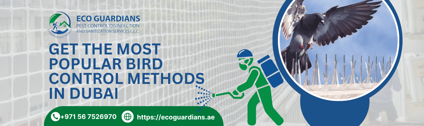 Bird Control Dubai